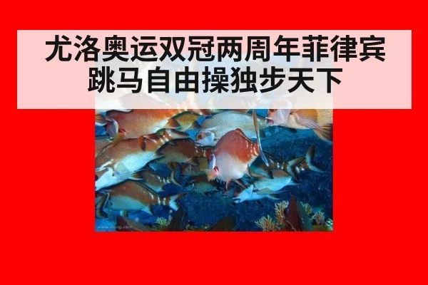 尤洛奥运双冠两周年菲律宾跳马自由操独步天下